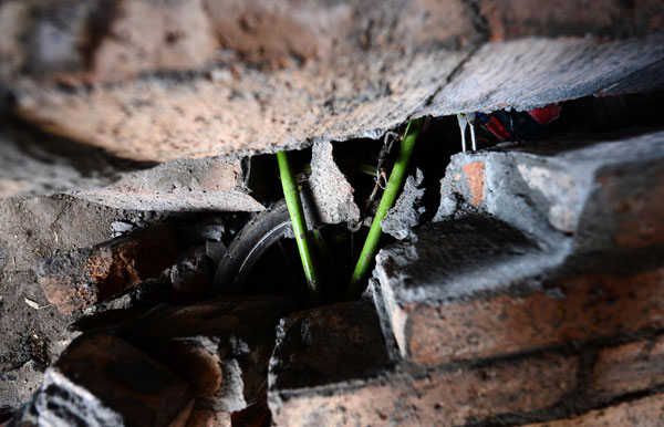 The gift card made by 8-year-old Wang Jingjing, who was killed in the 7.0-magnitude earthquake in Lushan county of Southwest China's Sichuan province, 8:02 am April 20. Grisly scenes of death