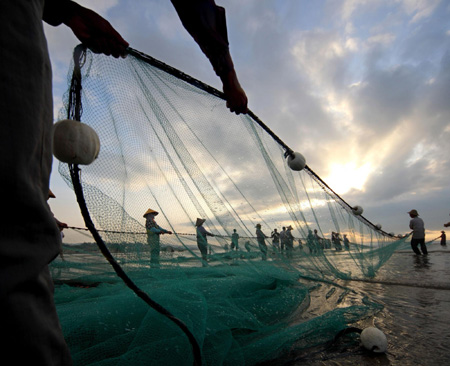Special fishing method attracts tourists in Guangdong
