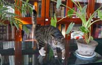 Forbidden City sets up postdoctoral workstation