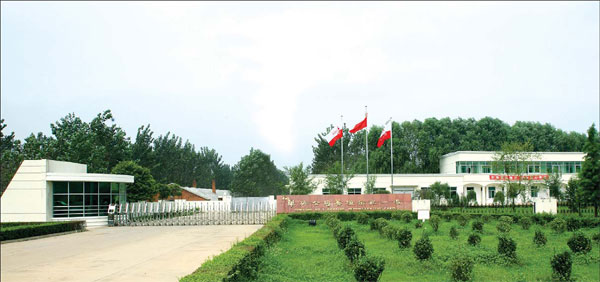 For a Henan company, 2012 was Year of the Duck