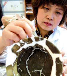 Restoring history, bit by bit