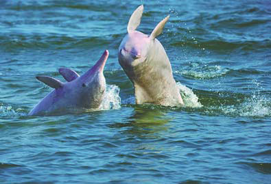 Port city growing in strategic importance