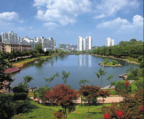 Continuing support for ecology, ancient legacy