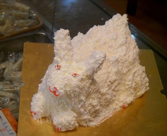 吃蛋糕毀三觀 真特么坑死爹?。?/></a></p>

<p>好友生日，我們買蛋糕，櫥窗里有只刺猬蛋糕我就問服務(wù)員除了刺猬還能做什么動(dòng)物~服務(wù)員說(shuō)還可以做兔子。于是我就要了一只兔子。結(jié)果等了半小時(shí)，兔子出來(lái)了.....我崩潰啊哪有那么丑的蛋糕啊...!天殺的還將近200塊錢!!LZ賺到了，這分明是一只偽裝成兔子的豬。。。</p>

<div width=