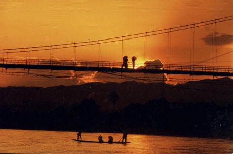 中科院西雙版納熱帶植物園暑期開展科普旅游優(yōu)惠活動(dòng)