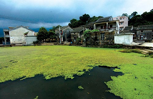 壩光村：被時(shí)光遺忘的美