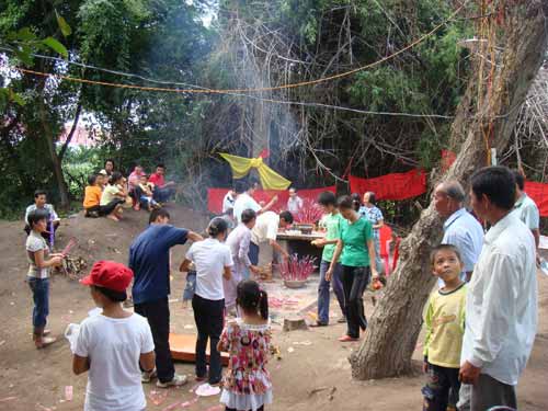 網(wǎng)談:海南這棵神話了的“觀音樹(shù)”該不該砍?