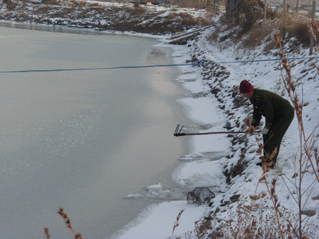 文登大面積結冰重創(chuàng)灘涂養(yǎng)殖業(yè)