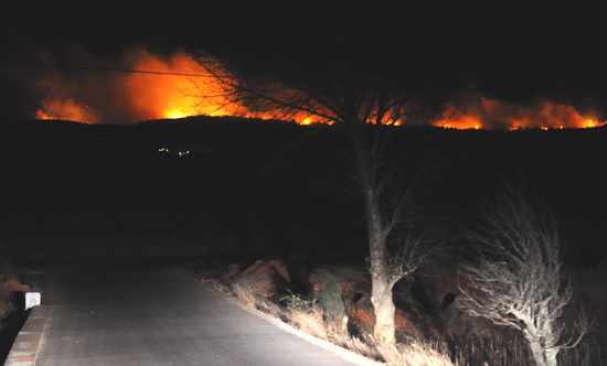 云南石林發(fā)生森林火災(zāi)3天未被撲滅(組圖)