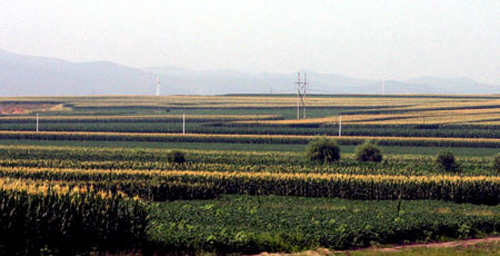 “北大倉”今年將新增500萬畝旱澇保收田