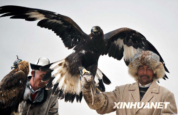 新疆“獵鷹之鄉(xiāng)”上演“空地大戰(zhàn)”