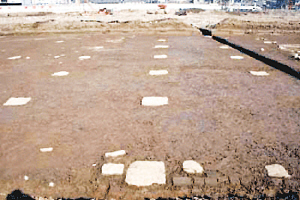 南京王安石家族墓候選全國(guó)十大考古新發(fā)現(xiàn)