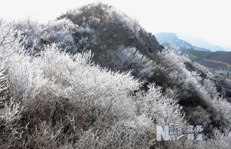 連云港云臺(tái)山出現(xiàn)春季霧凇美景