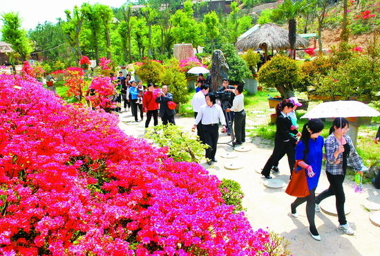 自駕游感受“紅土地”