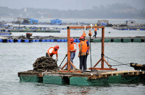 深圳開始拆除違章建筑“海上皇宮”