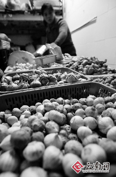 新蒜已賣空 蒜價卻未落全國又現(xiàn)漲價潮 我省市場漲幅小