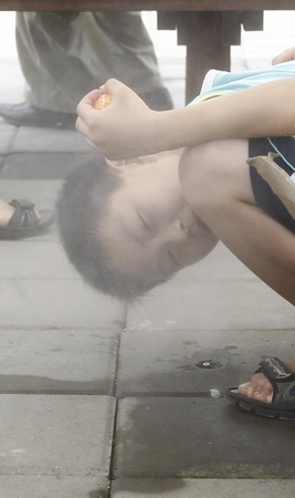 上海世博局將向游客免費發(fā)放2500萬把扇子(圖)