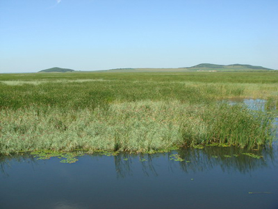 第四屆網(wǎng)媒龍江行：富錦的濕地文化