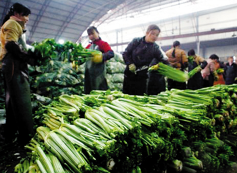 國務(wù)院下發(fā)通知:促進(jìn)菜價(jià)穩(wěn)定 嚴(yán)打囤積居奇串謀漲價(jià)