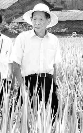 袁隆平:90歲時實現(xiàn)畝產(chǎn)1000公斤