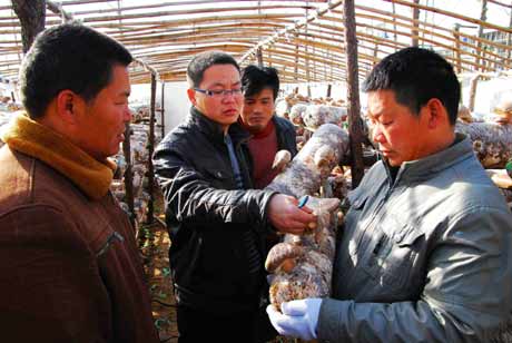 河南潢川：大學(xué)生村官創(chuàng)業(yè)基層助農(nóng)富