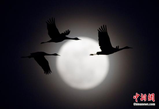 “超級(jí)月亮”將在本周末出現(xiàn) 不會(huì)引發(fā)災(zāi)難