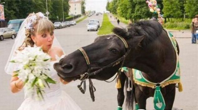 動(dòng)物襲擊人的搞笑瞬間