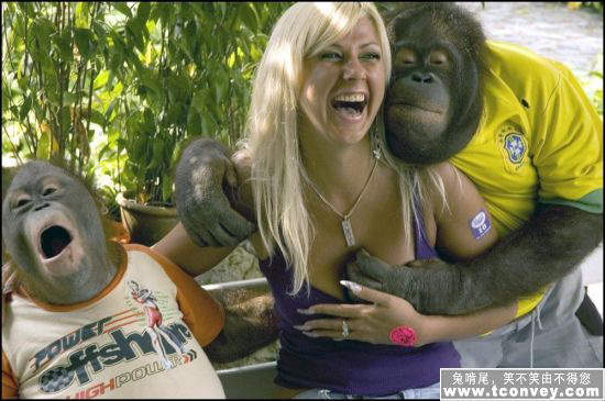 動(dòng)物襲擊人的搞笑瞬間