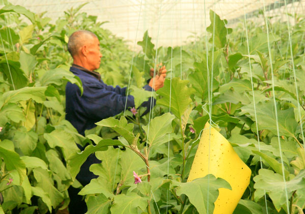 生態(tài)農(nóng)業(yè),生態(tài)運(yùn)城