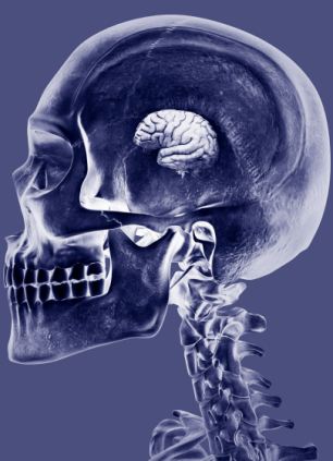 研究稱(chēng)人類(lèi)智力與情感能力正在退化