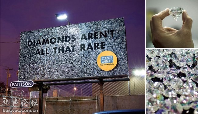 蚊子最喜歡藍色 這25個科學冷知識你了解多少？