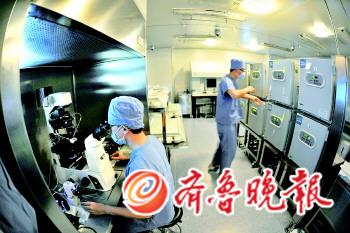 試管嬰兒想做就做？不孕不育治療亂象堪憂