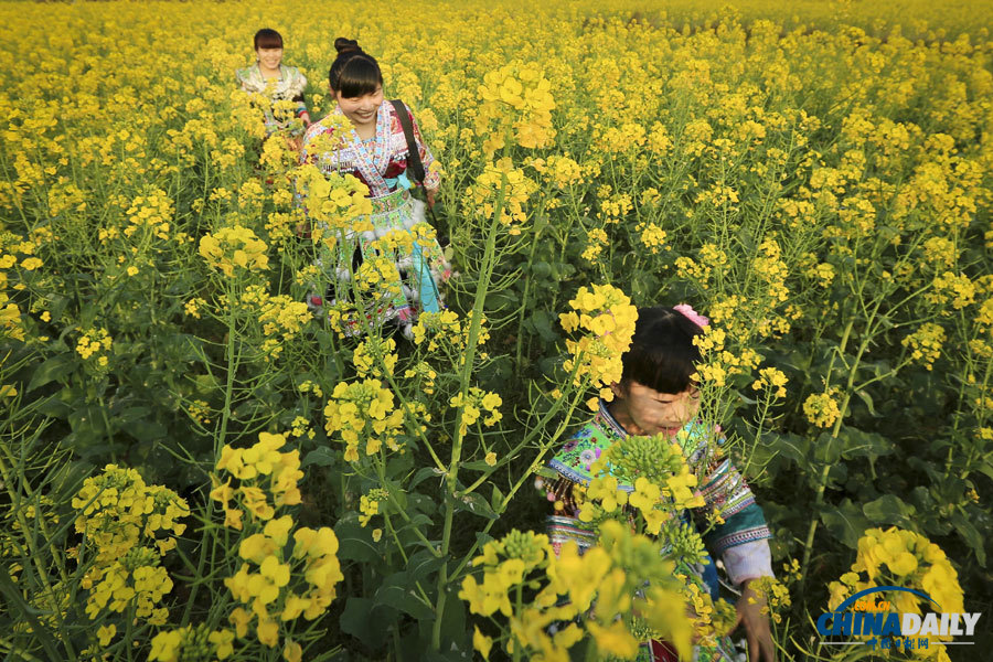 聚焦美麗中國之“春天在哪里”