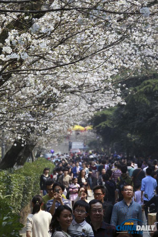 聚焦美麗中國(guó)之“春天在哪里”