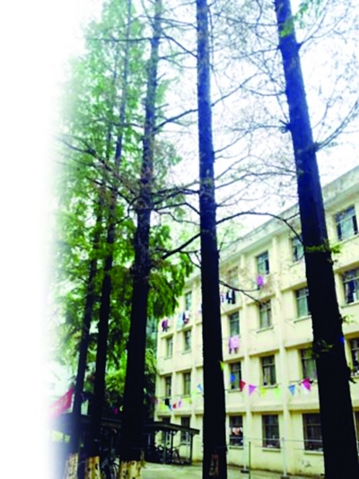 探尋《致青春》中