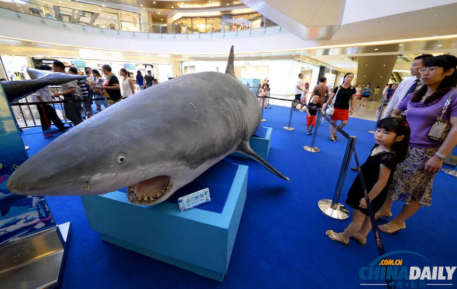 中國日報一周圖片精選（7月6日—12日）：強臺風(fēng)“蘇力”來襲