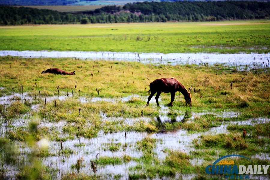 黑河特大洪災(zāi)水漫農(nóng)田 200余萬畝農(nóng)作物受災(zāi)慘重