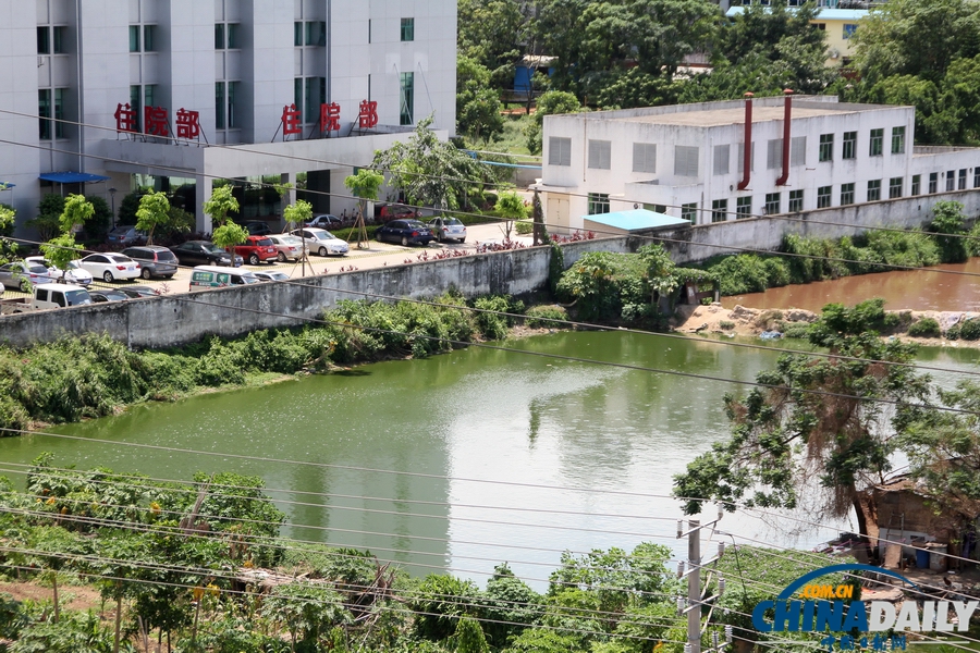 網(wǎng)曝?？谏先f(wàn)斤“垃圾魚”流向市場(chǎng) 官方介入調(diào)查