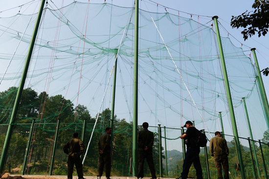 河南信陽(yáng)大別山首次放飛34只朱鹮