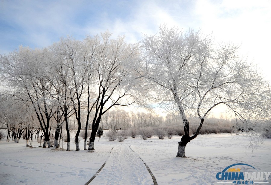 黑龍江黑河現(xiàn)綿延數(shù)公里霧凇美景