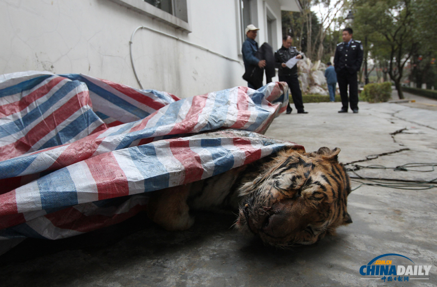 中國日報一周圖片精選：1月4日—10日