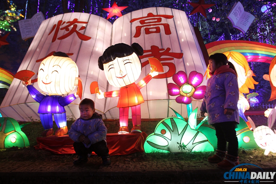 第20屆自貢國(guó)際恐龍燈會(huì)