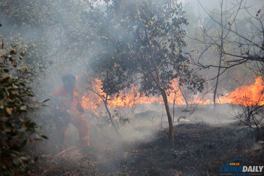 貴州福泉森林火災(zāi)被撲滅 5救火人員遇難