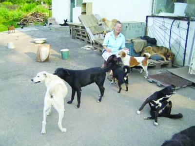 抗議反對(duì)政府為歐洲杯虐殺數(shù)萬流浪狗：“慘叫”的歐洲杯