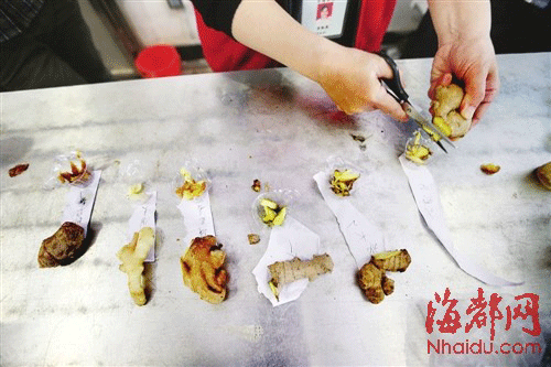 福州職能部門快速抽檢17樣品 暫未發(fā)現(xiàn)“毒生姜”