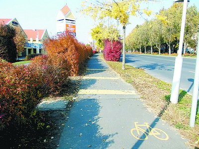 全球44城今起在廈