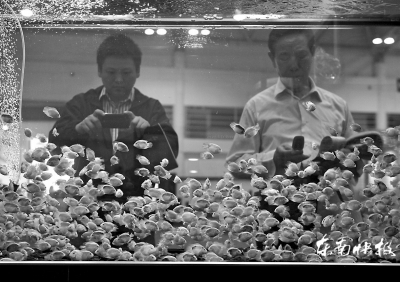 漁博會(huì)昨落幕簽約金額150多億元 逛展人數(shù)達(dá)30萬人次