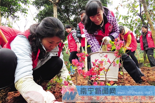 南寧市開展“花樣南寧”建設(shè)義務(wù)植樹活動