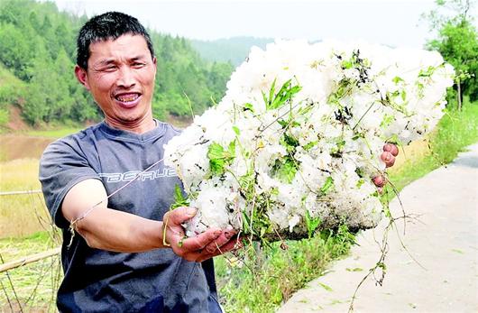 鄖縣遭強(qiáng)風(fēng)冰雹襲擊 冰雹大如雞蛋堆積厚度20厘米