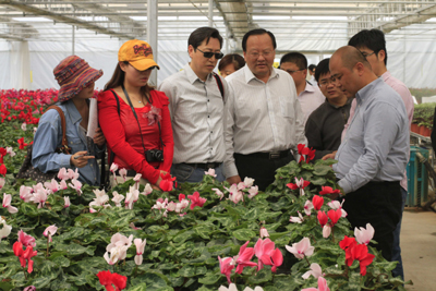 山東援疆:正在實施的一場深刻變革